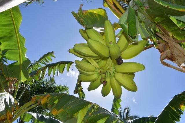 Pousada Malea Icaraí Extérieur photo